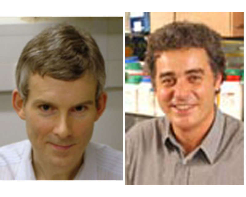 Two former members of the School of Life Sciences elected Fellows of the Royal Society of London