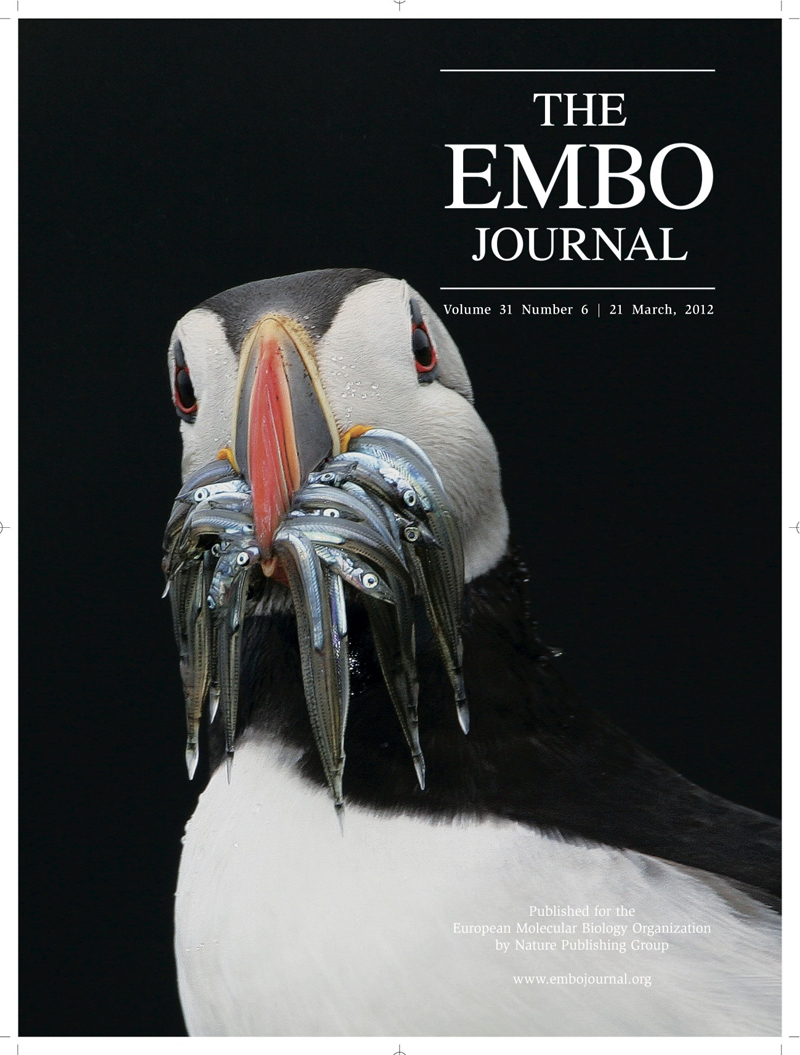 EMBO Journal cover photo of March 21st taken by Ivan MuÃƒÂ±oz