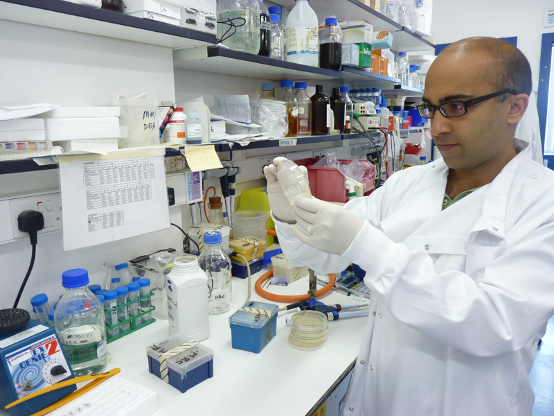 Miratul Muqit awarded Wellcome Trust Senior Clinical Fellowship
