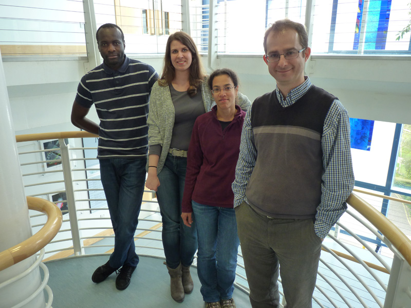 Karim Labib Joins MRC Protein Phosphorylation & Ubiquitylation Unit