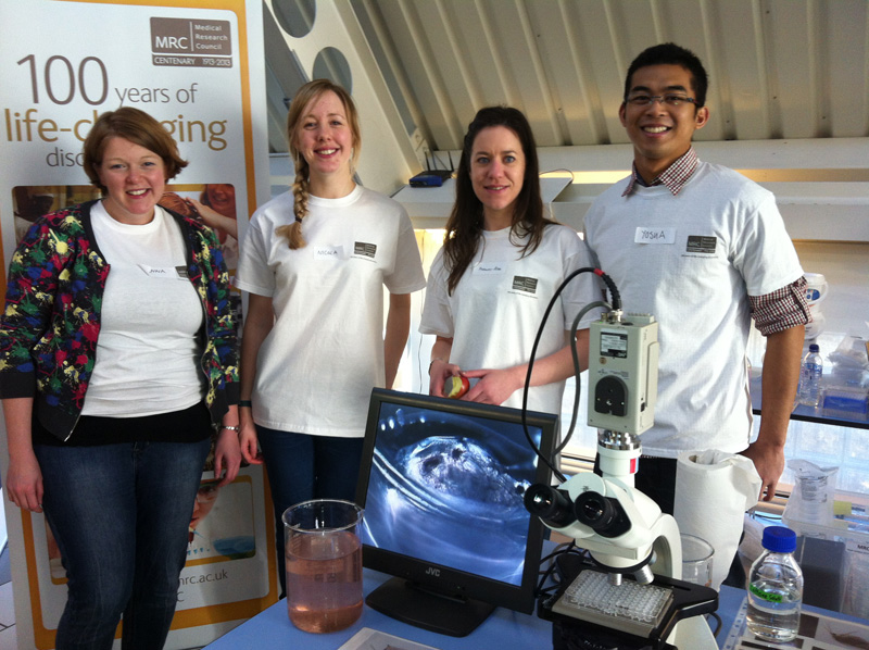 MRC-PPU Staff take part in Dundee Science festival