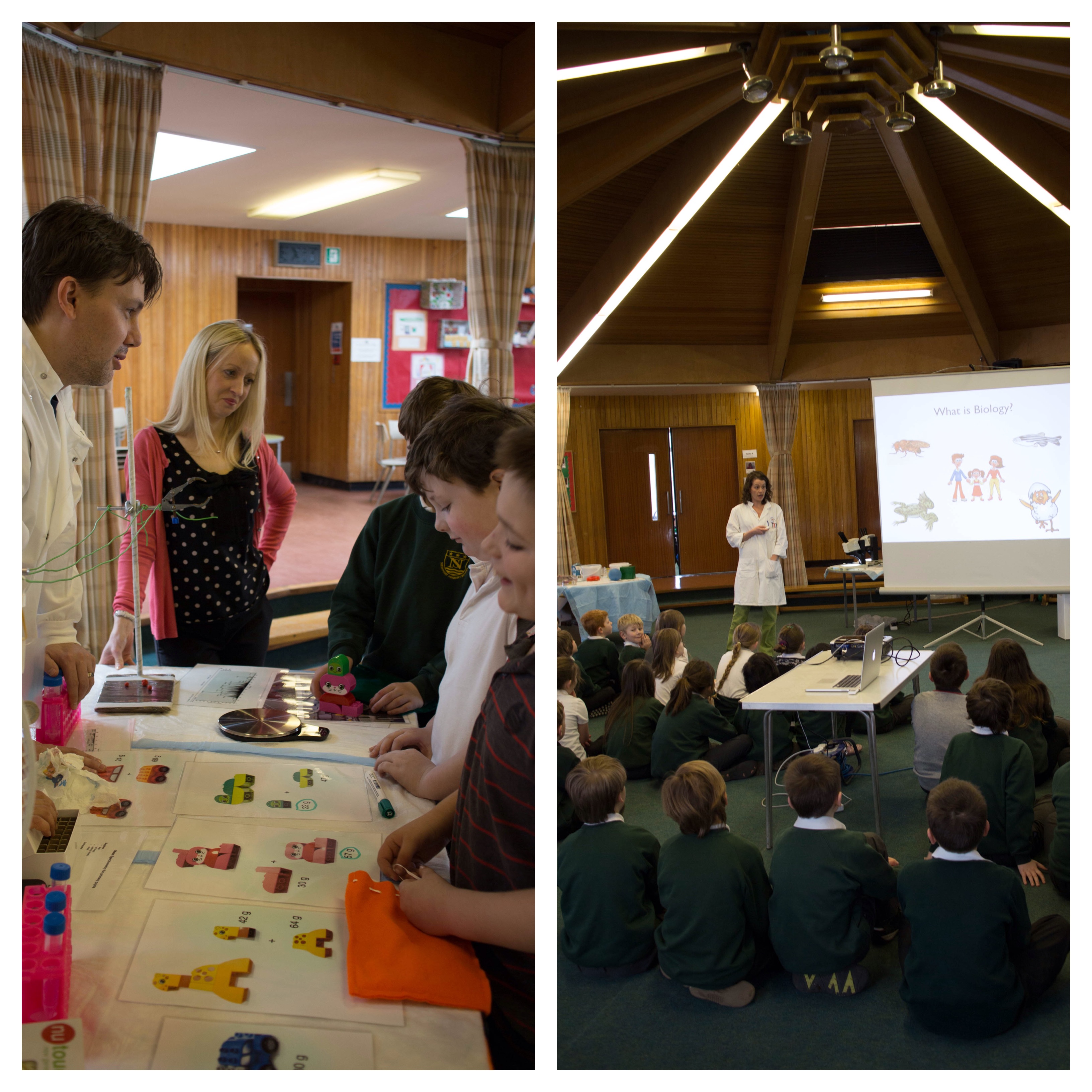 Scientists from the University of Dundee Visit Newport Primary School