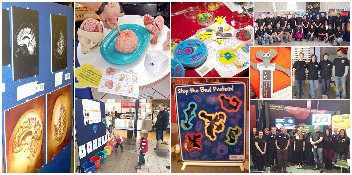The MRC-PPU at The Dundee Science Festival!