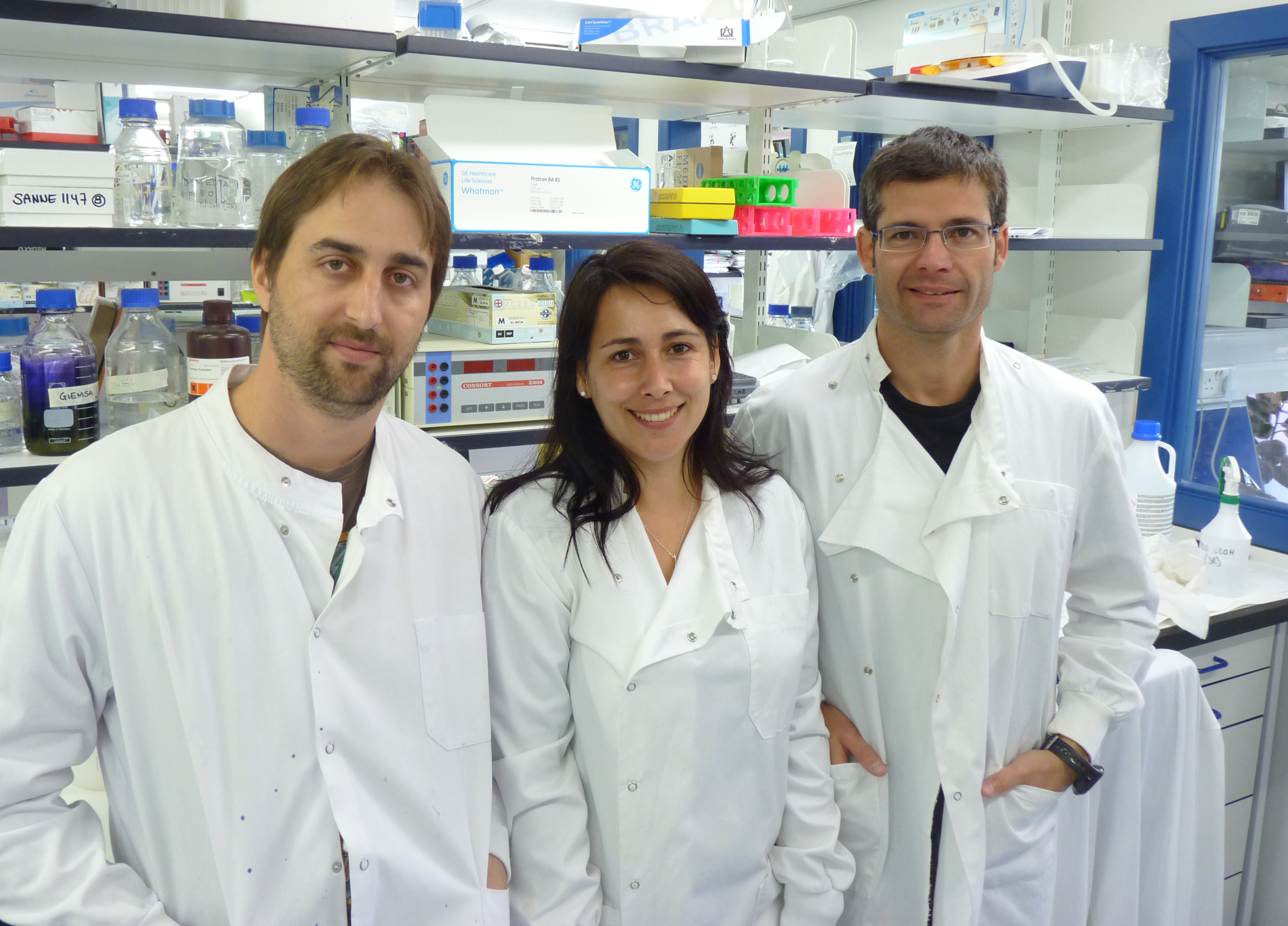 Ana Perez-Oliva working in collaboration with John Rouse's lab discovers new component regulating DNA damage responses