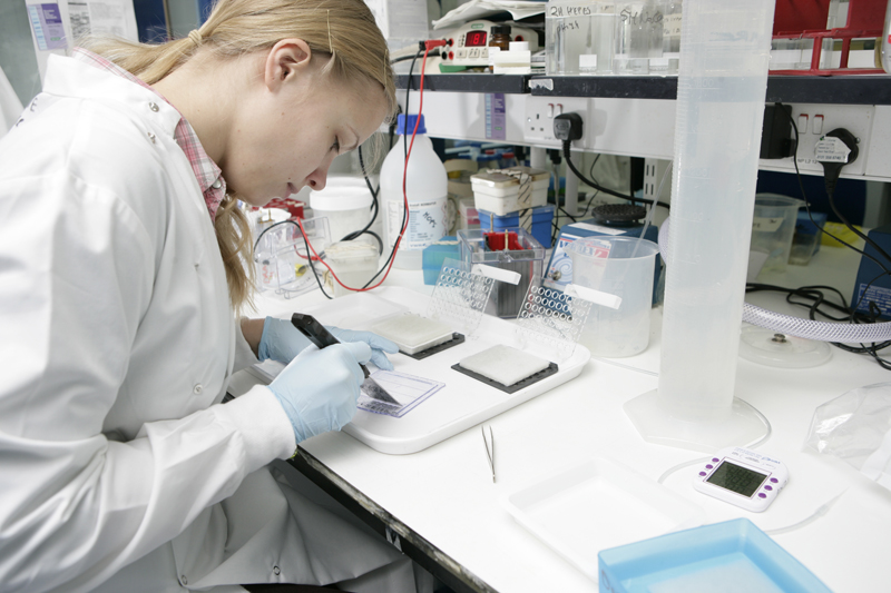 Agne Kazlauskaite sheds new light on Parkin activation by PINK1
