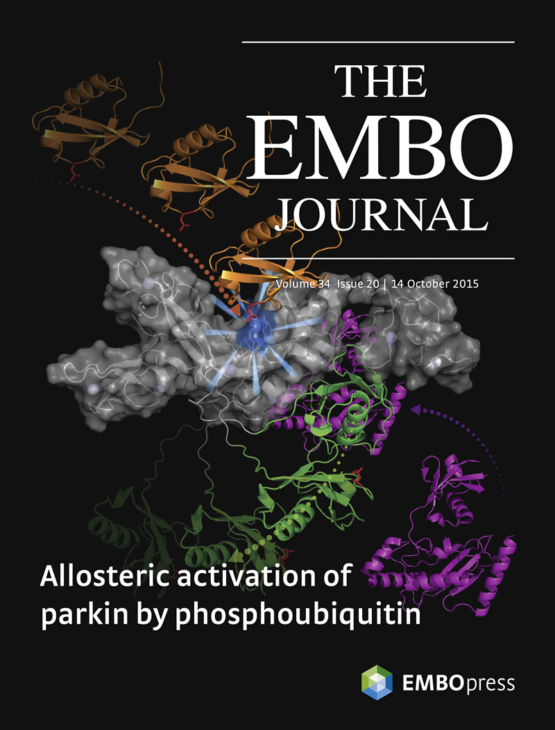Research from the Walden lab is featured on cover of current issue of EMBO Journal