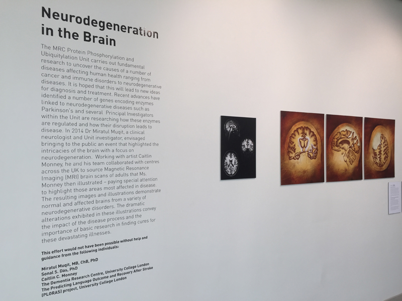 MRC PPU research featured in exhibition of contemporary art and science