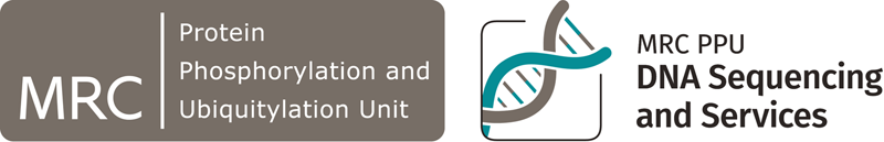 DNA Sequencing and Services