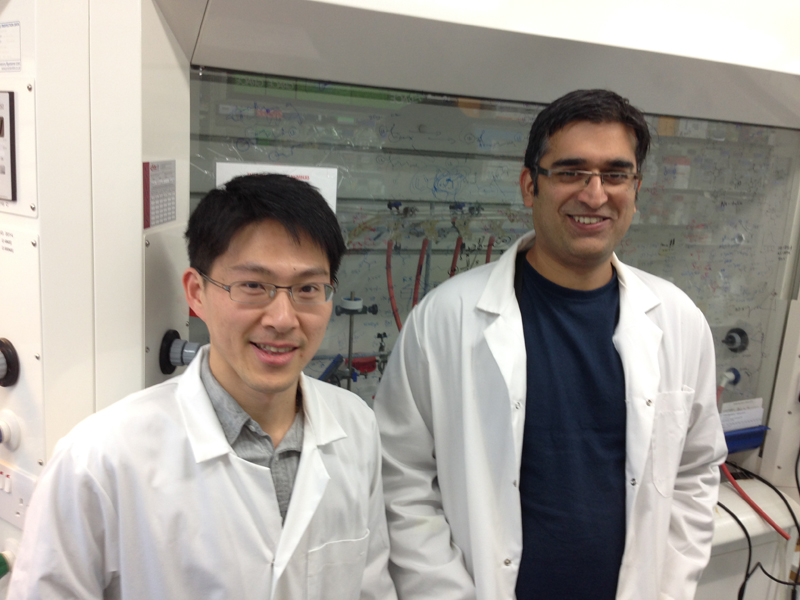 Chemical probe brings new insight into Parkinson's disease