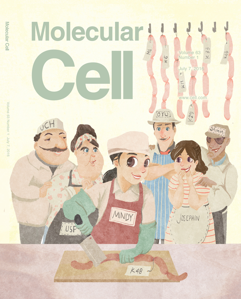 Molecular Cell Cover