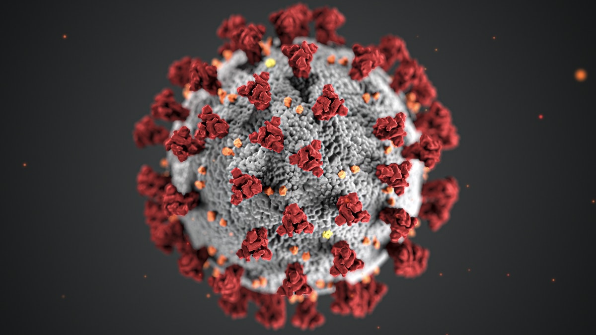Illustration of SARS-CoV-2 Virus. Source CDC.
