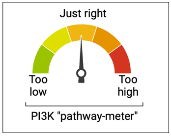 Temperature gauge