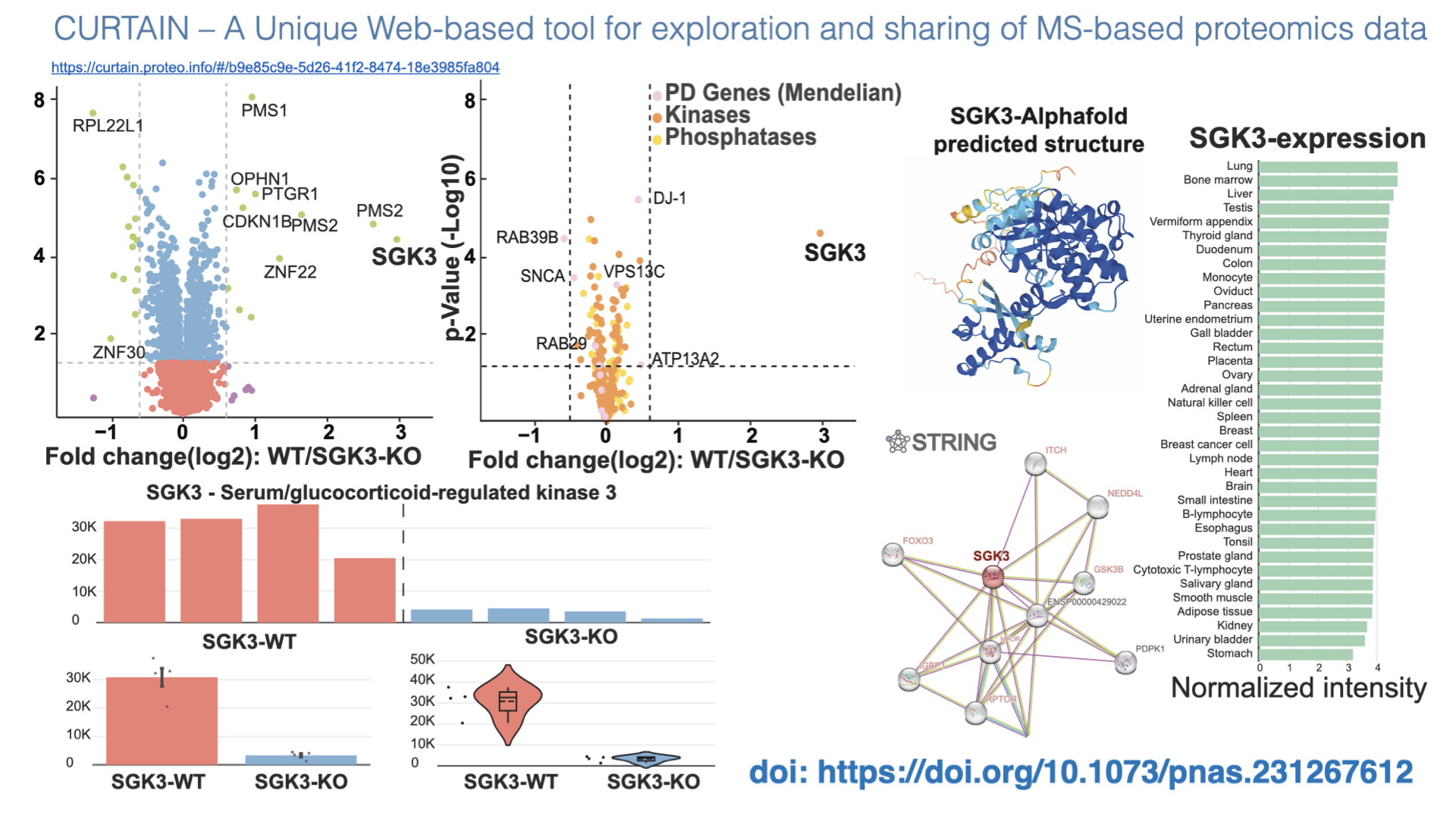Curatin a unique web based tool for exploration and sharing of MS-based proteomics data