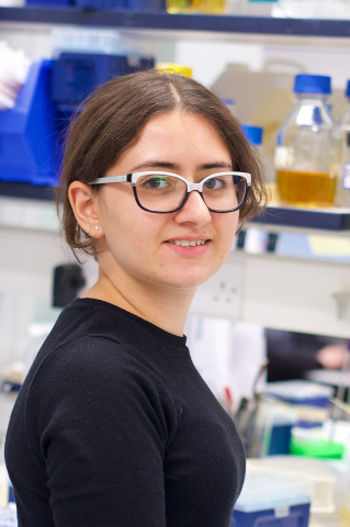 Wissem Bououdina portrait