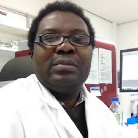 Olawale Raimi