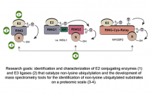 VDC research 