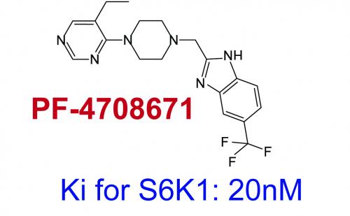 Laura Pearce publishes paper with Pfizer reporting first specific S6K1 inhibitor