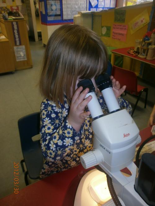 future scientist Visit to University of Dundee nursery