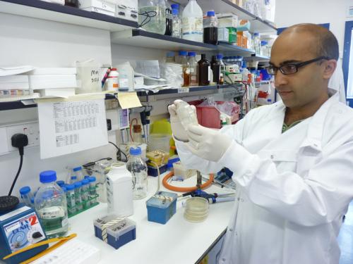 Miratul Muqit Miratul Muqit awarded Wellcome Trust Senior Clinical Fellowship