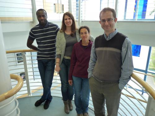Labib lab, L-R: Pedro Nkosi, Marija Maric, Cecile Evrin and Karim Labib Karim Labib Joins MRC Protein Phosphorylation & Ubiquitylation Unit