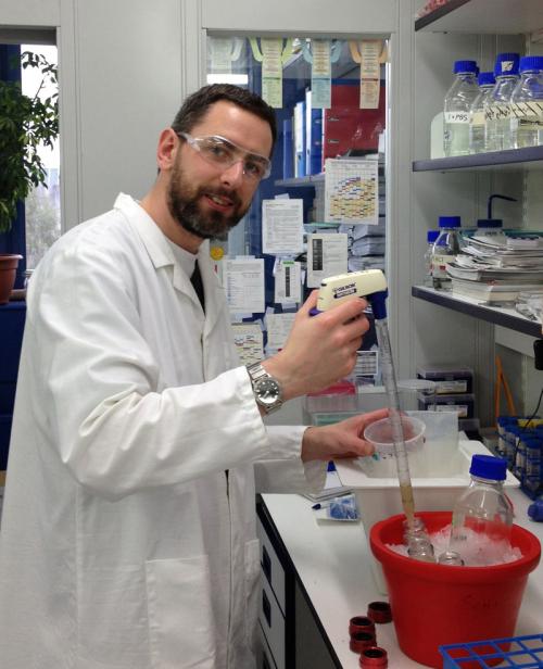 Ian in action New regulatory mechanism discovered for a special class of RING-in-between-RING E3 ligases