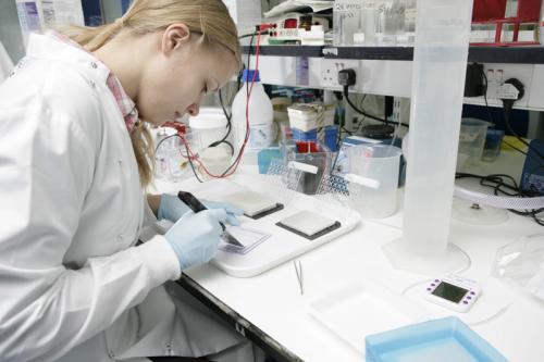 Agne working in the lab Agne Kazlauskaite selected to attend Roche Continents 2014