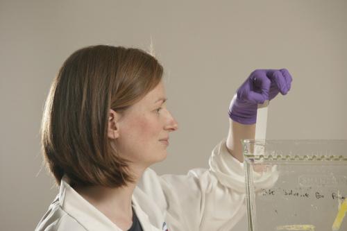 Vicky Cowling in the lab Vicky Cowling Awarded Prestigious British Society for Cell Biology Medal