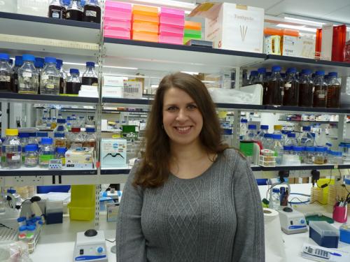 Marija Maric Marija Maric Awarded the 2014 Howard Elder Prize for Cancer Research