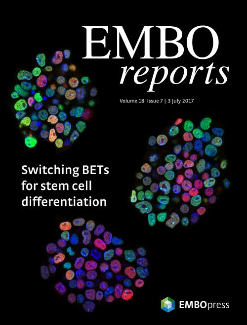 EMBO reports cover image
