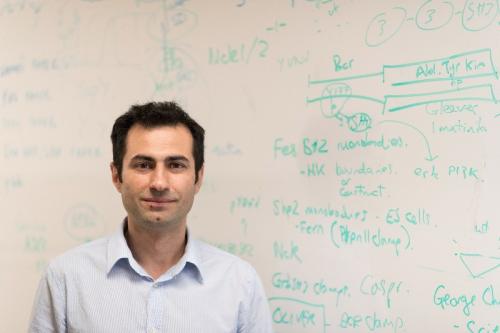 Elton Zeqiraj (Image Credit: Dan Mao, Lunenfeld-Tanenbaum Research Institute) 