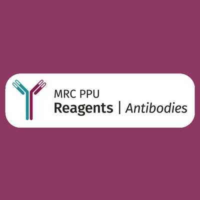 MRC PPU Antibodies