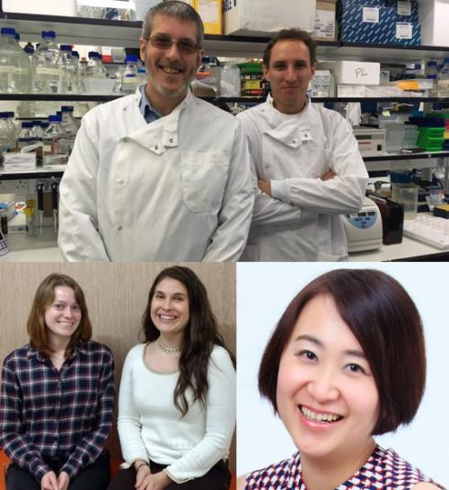 Top (Paul Davies and Pawel Lis, MRC PPU), Bottom left (Nicole Polinski and Terina Martinez, MJFF) bottom right (Meng-Yun Chou Abcam) 