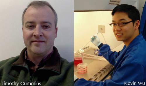Tim Cummins and Kevin Wu