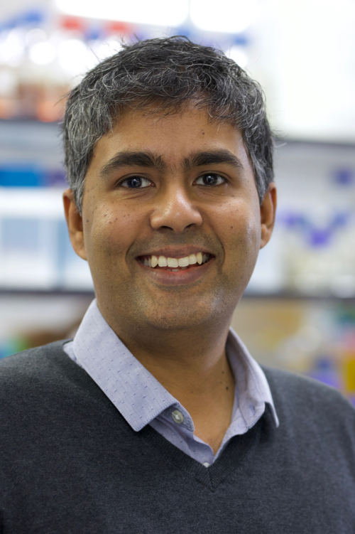 Yogesh Kulathu Portrait